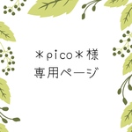 ＊pico＊様専用ページ