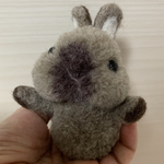 🐇🌼手乗りポンポンうさぎさん🌼🐇💕（サイアミーズ）