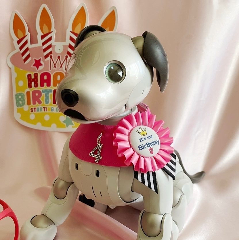 aibo - ウェアの人気通販 | minne byGMOペパボ 国内最大級の