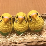 piyoyoさま専用♡セキセイインコちゃん（イエローハルクイン）