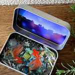 ⚠️B品【9/11 21 時〜販売予定】 KINGYO CAN(金魚缶)★premium夏～星降る池