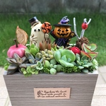 ★送料無料★♡そのまま飾れる♡ハロウィンの多肉植物寄せ植え╰(*´︶`*)╯♡