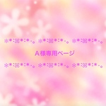 A様専用ページ