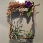 【初コラボ】エアープランツ ドライフラワー 観葉植物　インテリア　オシャレ　壁飾り