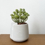 1点限定販売☆ フェイクグリーン　多肉　鉢植え　インテリア　コンクリート風　光触媒加工