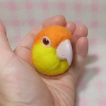 ３Ｄインコ顔だけマグネット ☆ シロハラインコ☆　羊毛インコ(中型インコ）