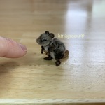 ミニチュア モール ねずみ (濃グレー)