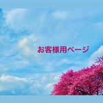 【rietikky様専用】ビオラとジニアのイヤリング