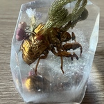 人工冬虫夏草石