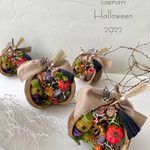 【再再再販】⭐︎mini⭐︎ 森のハロウィン♡  ブッタナッツアレンジ　