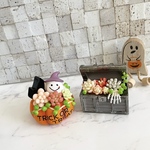 ハロウィン 寄せ植え 2個セット