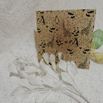 蜜蝋ラップ　生成り　みつろうラップ