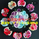 ☆再送・速達・追加送料ご依頼希望ページ☆