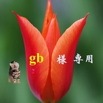 gb様専用ページ