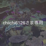 chiichiさま専用