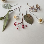 染め花　フラワーモビール