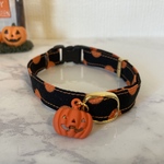猫　首輪　ラメドット　オレンジ　カボチャチャーム　ハロウィン