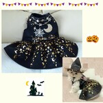 犬服　ハロウィンワンピース　黒／ゴールド月星   送料無料　hwk01