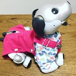 Jonny0517様ご注文の品新色　aiboちゃんの本格サロペットとスタンドカラーシャツ2枚