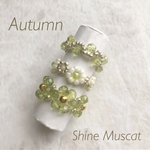 オータム×シャインマスカット