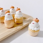 もち白文鳥とかぼちゃのカップケーキ
