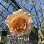 rt514様専用ページです。