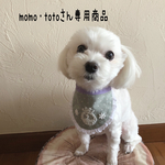 犬用スタイ・お名前スタイ