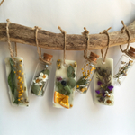 楽しく飾るドライフラワー