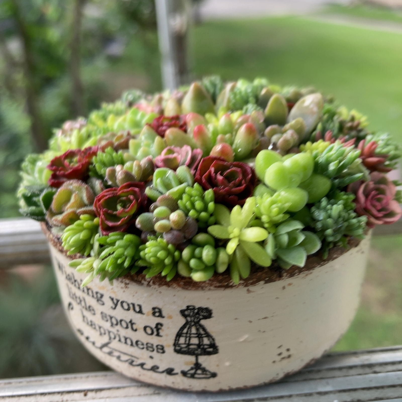 オーダーお受けします 多肉植物寄せ植え そのまま飾れる ちま寄せ