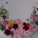 押し花素材。花セット