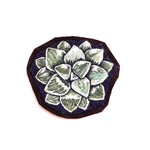 ハオルチアの刺繍ブローチ(チャーム変更可)