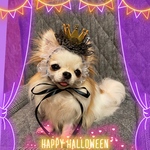 🎃ハロウィン限定✨王冠ヘッドドレス⭐️