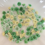 グリーン系 かすみ草ドライフラワー100粒
