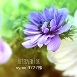 nyaon9727様専用ページ