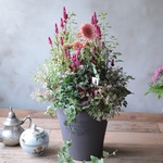 秋の野の花ギャザリングB