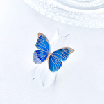 Papillon蝶々のダブルクロスリングNo.10