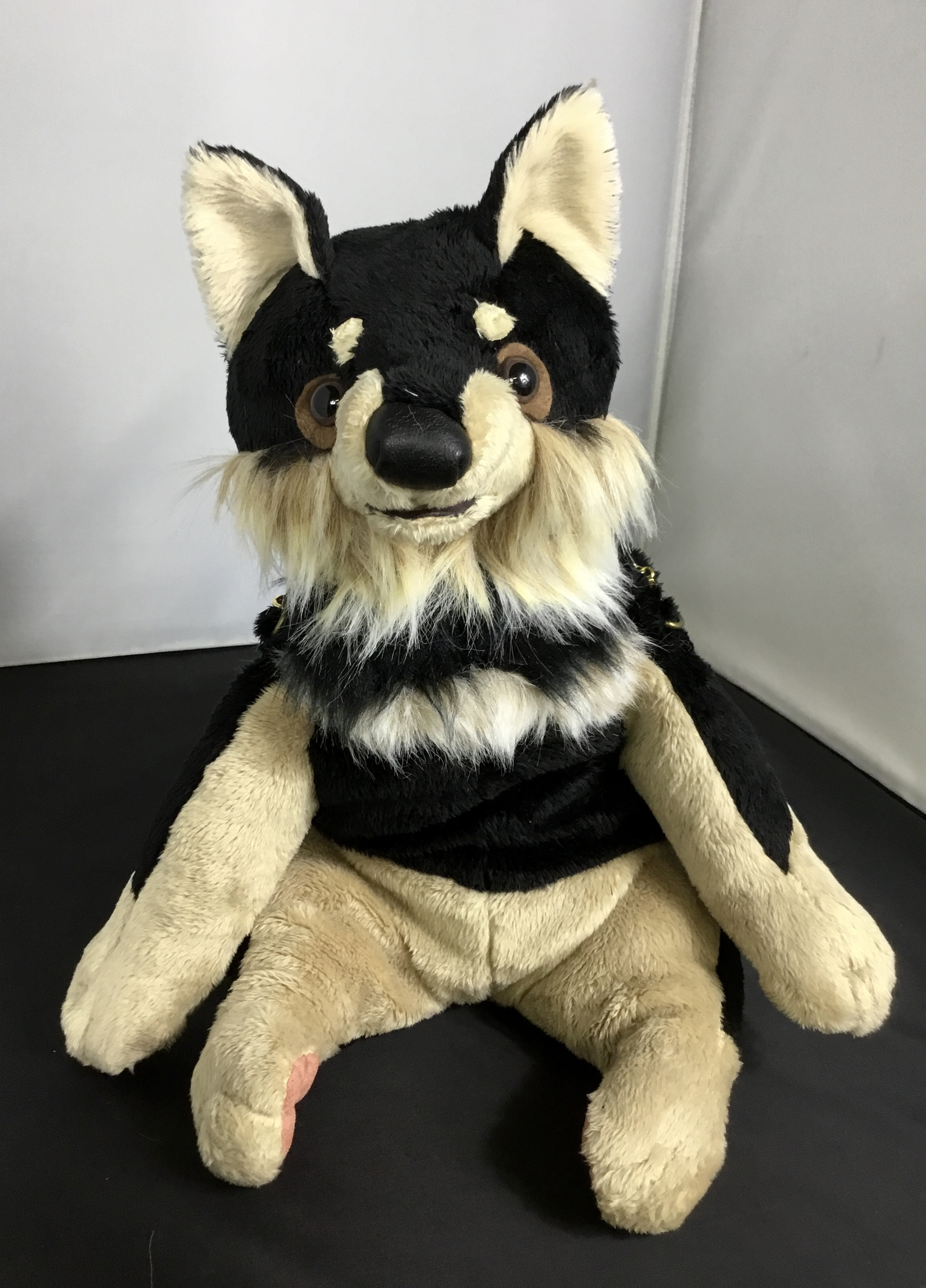 黒柴のバッグ