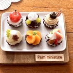 ＊palm miniature＊秋のフルーツ盛り盛りミニタルト