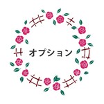 オプション500