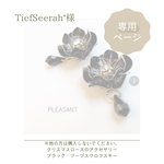 専用ページ