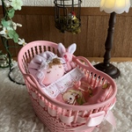 ゆりかごの小さな小さな赤ちゃん人形    No.5                     