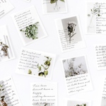 海外 フレークシール 40枚set 《plants and tree》 [F549]