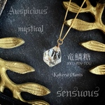✨竜鱗糖のネックレス✨白蛇のタリスマン✶無限の発展✶necklace of talisman/KakeraPlants