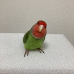 ※専用ページです※pichan13様ご依頼のコザクラインコちゃんです♪羊毛フェルト