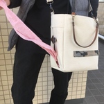 在庫あり❣️お買い得金額☘️犬のお散歩ティッシュインバック🐶