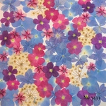 ♡new♡作家様必見♡押し花MIXセット♡押し花セット