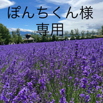 ぽんちくん様専用です。