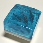 遠浅の海 ハンドウイルカ B