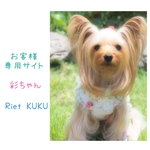 ハーネス リードセット ☆ お客様専用サイト 彩ちゃん