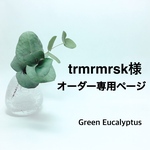 trmrmrsk様オーダー専用ページ